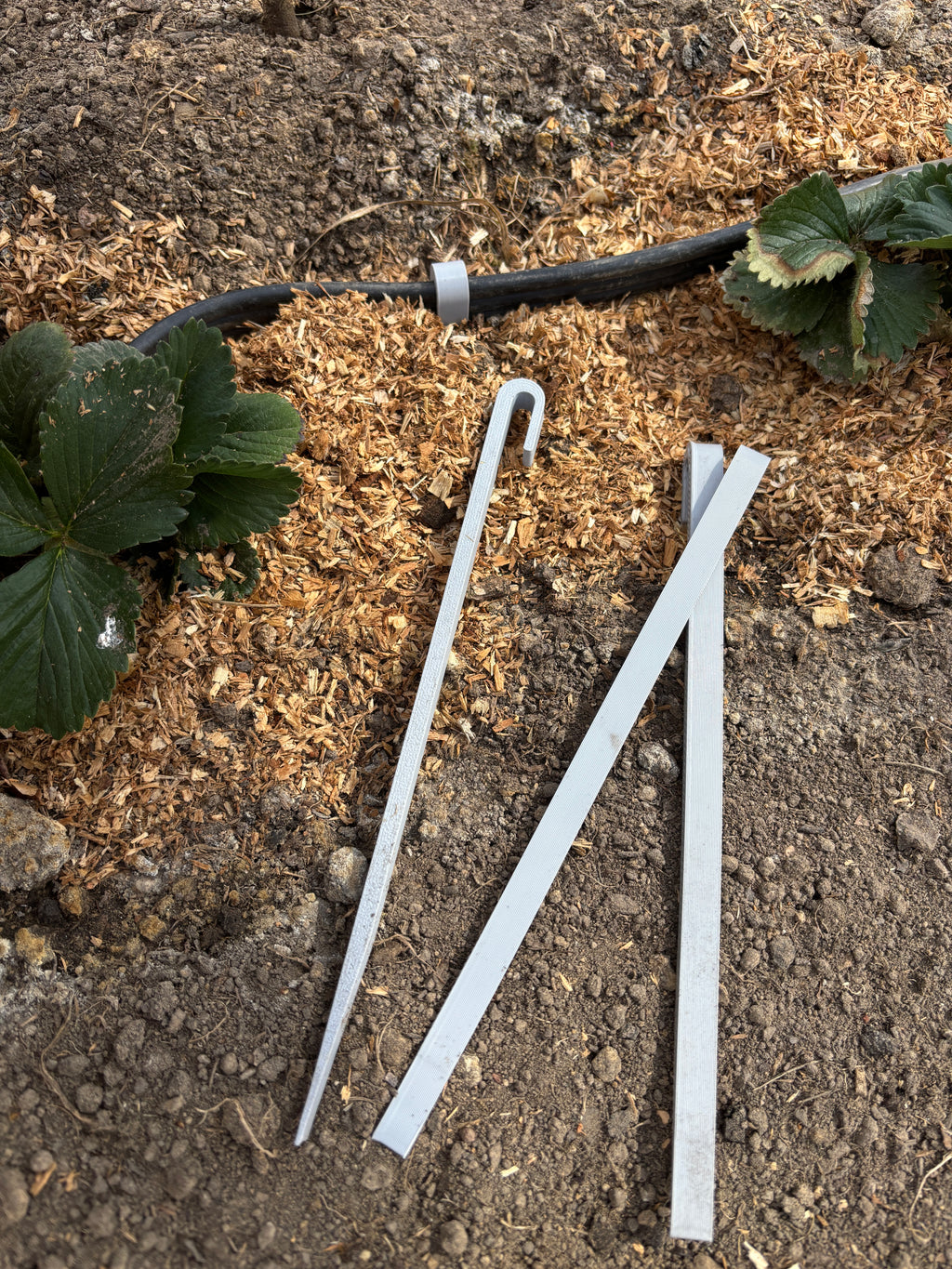 Grampos para mangueira de irrigação