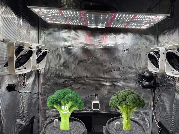 Suporte de ventilador Grow ajustável